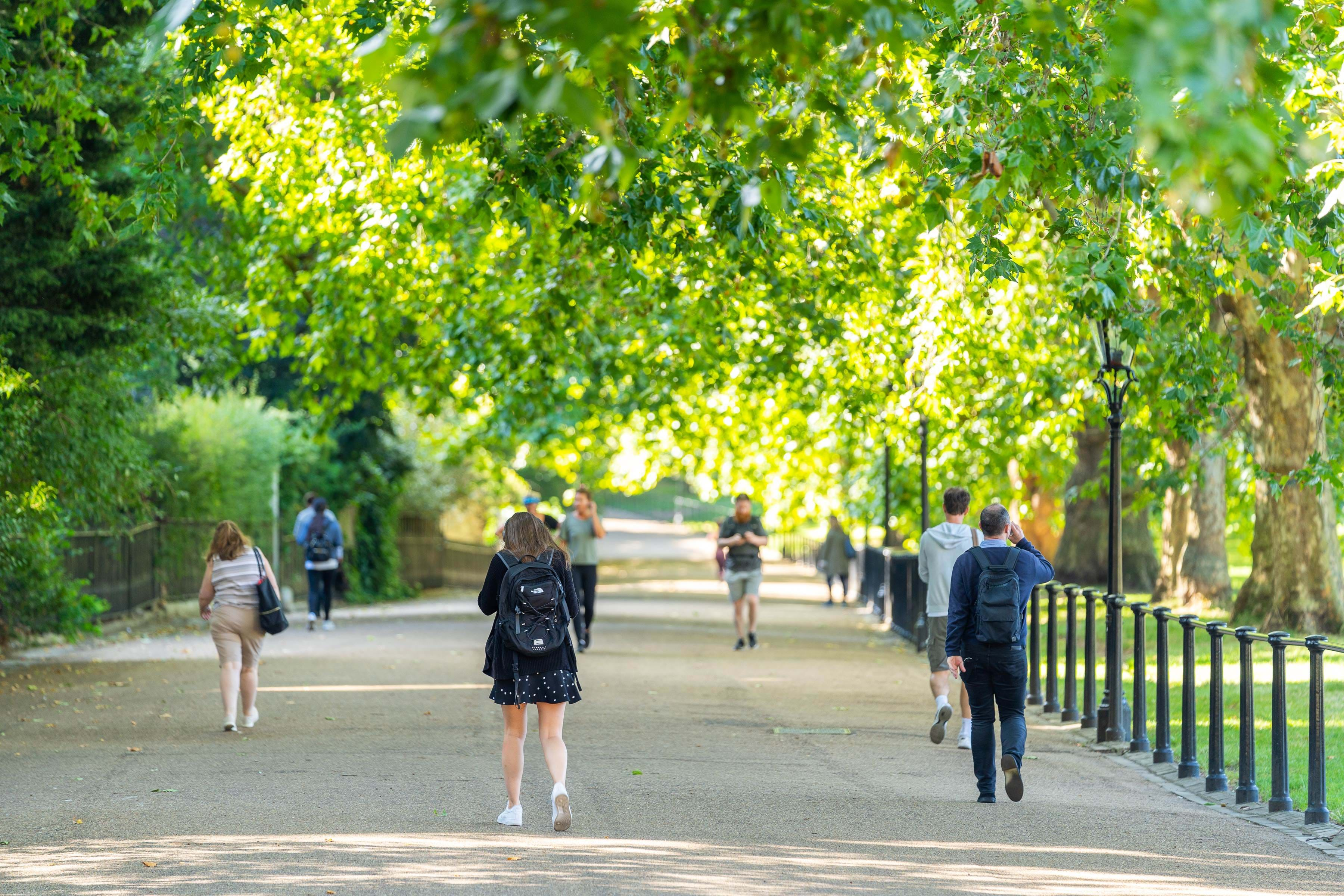 People walking underneath trees in London